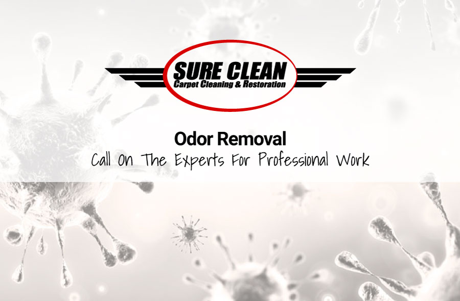 Odor Removal Sure Clean Carpet Cleaning & Restoration
