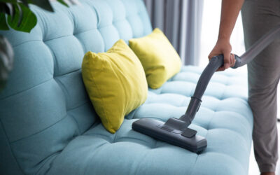 Spring Into a Cleaner Home: Why Spring Carpet Cleaning Matters More Than You Think
